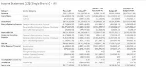 Financial Income Statement Branch