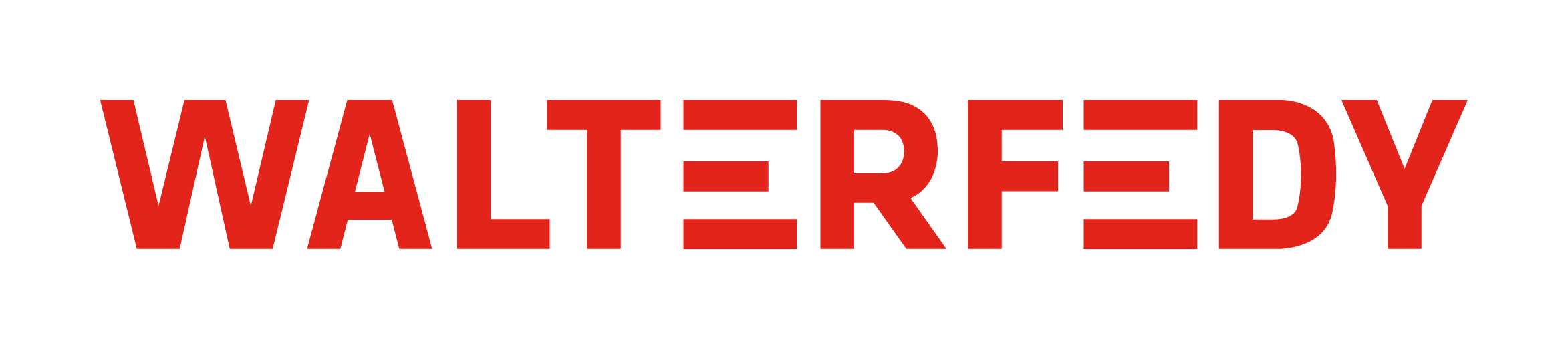 walterfedy-logo-red--data-solutions